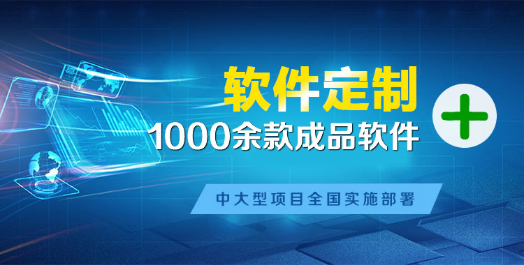 大新软件开发